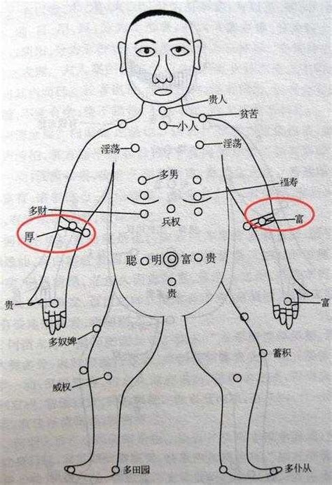 左手臂內側有痣|手臂痣相圖解，來看看，你手臂上的痣代表什麼含義！。